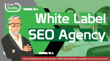 White Label SEO Agency - LinkDaddy Reviews