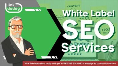 White Label SEO Services - LinkDaddy Reviews