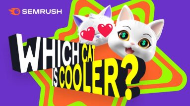 Are Pokemon REAL?! | Semrush's New Game Show - Which Cat Is Cooler?